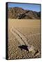 Moving Rocks, Death Valley-Steve Gadomski-Framed Stretched Canvas