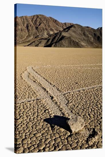 Moving Rocks, Death Valley-Steve Gadomski-Stretched Canvas