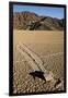 Moving Rocks, Death Valley-Steve Gadomski-Framed Photographic Print