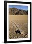 Moving Rocks, Death Valley-Steve Gadomski-Framed Photographic Print