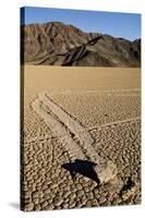 Moving Rocks, Death Valley-Steve Gadomski-Stretched Canvas