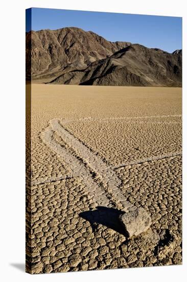 Moving Rocks, Death Valley-Steve Gadomski-Stretched Canvas