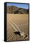 Moving Rocks, Death Valley-Steve Gadomski-Framed Stretched Canvas