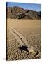 Moving Rocks, Death Valley-Steve Gadomski-Stretched Canvas