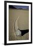 Moving Rocks Number 2 , Death Valley-Steve Gadomski-Framed Photographic Print