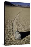 Moving Rocks Number 2 , Death Valley-Steve Gadomski-Stretched Canvas