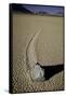 Moving Rocks Number 2 , Death Valley-Steve Gadomski-Framed Stretched Canvas