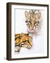 Moving Shadows-Barbara Keith-Framed Giclee Print