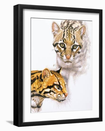 Moving Shadows-Barbara Keith-Framed Giclee Print