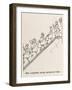 Moving Staircase-William Heath Robinson-Framed Art Print