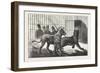 Moving the Carnivora, Lions, to the New Houses at the Zoological Gardens, London, 1876, Uk-null-Framed Giclee Print