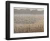 Moving the Flock-Lincoln Seligman-Framed Giclee Print