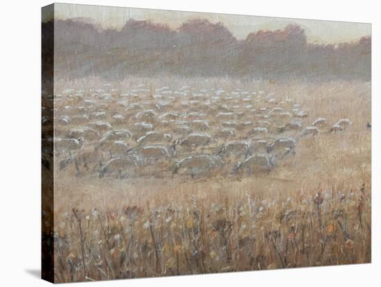 Moving the Flock-Lincoln Seligman-Stretched Canvas