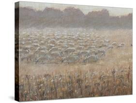 Moving the Flock-Lincoln Seligman-Stretched Canvas