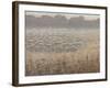 Moving the Flock-Lincoln Seligman-Framed Giclee Print