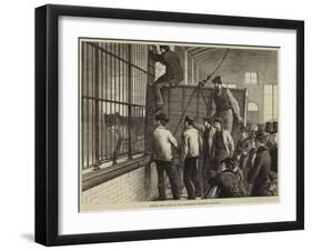 Moving the Lions at the Zoological Society's Gardens-null-Framed Giclee Print