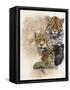 Moxie-Barbara Keith-Framed Stretched Canvas