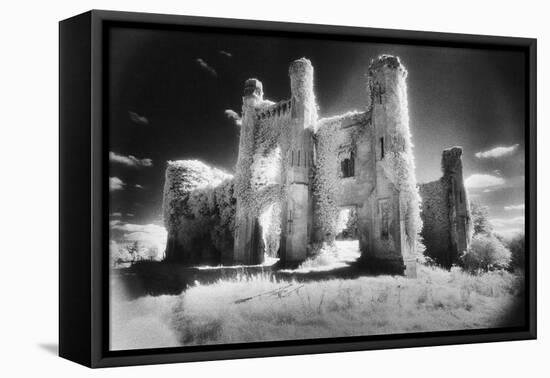 Moydrum Castle, County Westmeath, Ireland-Simon Marsden-Framed Stretched Canvas