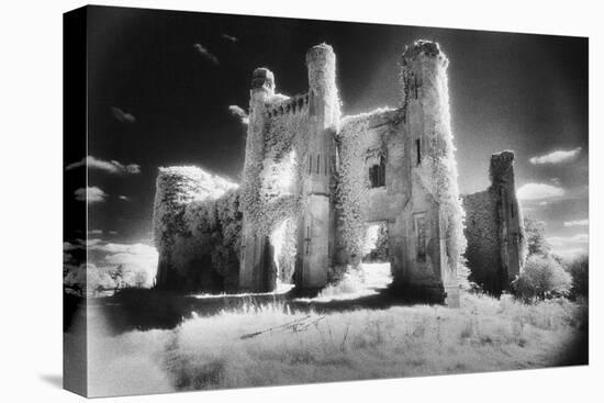 Moydrum Castle, County Westmeath, Ireland-Simon Marsden-Stretched Canvas