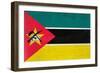 Mozambique Flag Design with Wood Patterning - Flags of the World Series-Philippe Hugonnard-Framed Premium Giclee Print