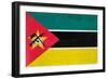 Mozambique Flag Design with Wood Patterning - Flags of the World Series-Philippe Hugonnard-Framed Premium Giclee Print