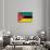 Mozambique Flag Design with Wood Patterning - Flags of the World Series-Philippe Hugonnard-Art Print displayed on a wall