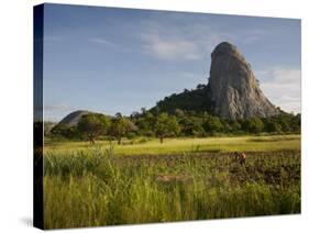 Mozambique, Near Nampula; the Stunning Landscape of Northern Mozambique Early in the Morning-Niels Van Gijn-Stretched Canvas