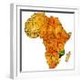 Mozambique on Actual Map of Africa-michal812-Framed Premium Giclee Print