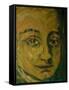 Mozart, from 'Mozart the Symphonist'-Annick Gaillard-Framed Stretched Canvas