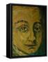 Mozart, from 'Mozart the Symphonist'-Annick Gaillard-Framed Stretched Canvas