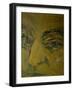 Mozart, from 'Mozart the Symphonist'-Annick Gaillard-Framed Giclee Print