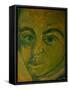 Mozart, from 'Mozart the Symphonist'-Annick Gaillard-Framed Stretched Canvas