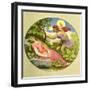 MOZART - MAGIC FLUTE-Moritz Ludwig von Schwind-Framed Giclee Print