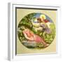 MOZART - MAGIC FLUTE-Moritz Ludwig von Schwind-Framed Giclee Print