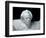 Mozart (Portrait of Gustav Mahler), 1911-Auguste Rodin-Framed Giclee Print