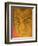 Mozart-Annick Gaillard-Framed Giclee Print