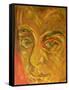 Mozart-Annick Gaillard-Framed Stretched Canvas