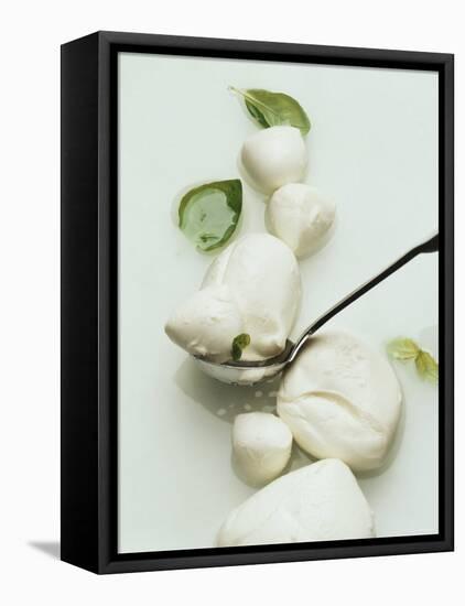 Mozzarella and Fresh Basil-Luzia Ellert-Framed Stretched Canvas