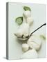 Mozzarella and Fresh Basil-Luzia Ellert-Stretched Canvas