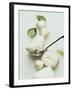 Mozzarella and Fresh Basil-Luzia Ellert-Framed Photographic Print