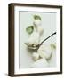 Mozzarella and Fresh Basil-Luzia Ellert-Framed Photographic Print