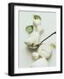 Mozzarella and Fresh Basil-Luzia Ellert-Framed Photographic Print