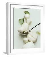 Mozzarella and Fresh Basil-Luzia Ellert-Framed Photographic Print