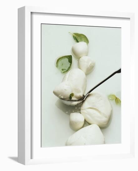 Mozzarella and Fresh Basil-Luzia Ellert-Framed Photographic Print