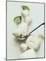 Mozzarella and Fresh Basil-Luzia Ellert-Mounted Photographic Print