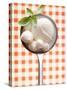 Mozzarella with Basil in Ladle-Marc O^ Finley-Stretched Canvas