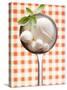 Mozzarella with Basil in Ladle-Marc O^ Finley-Stretched Canvas