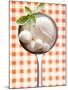 Mozzarella with Basil in Ladle-Marc O^ Finley-Mounted Photographic Print