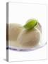 Mozzarella with Basil on Plastic Spoon-Marc O^ Finley-Stretched Canvas