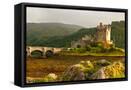 Framed Canvas
